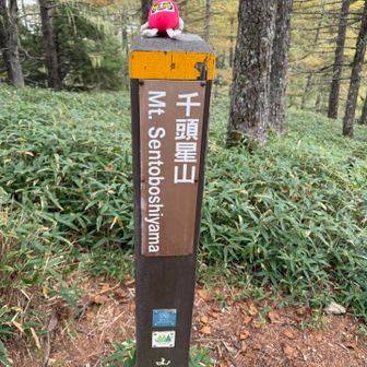 千頭星山に到着〜🙌