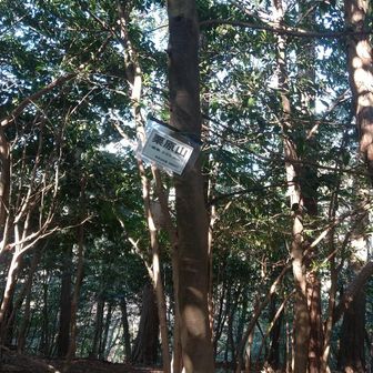 栗原山まで来ました。