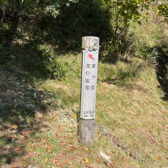 扉峠まで降りたんで茶臼山までの急登が始まる💦