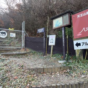 手前にも登山口らしきフェンスがあり間違えて途中まで登りYAMAPの道ハズレの警告で気づきました💦