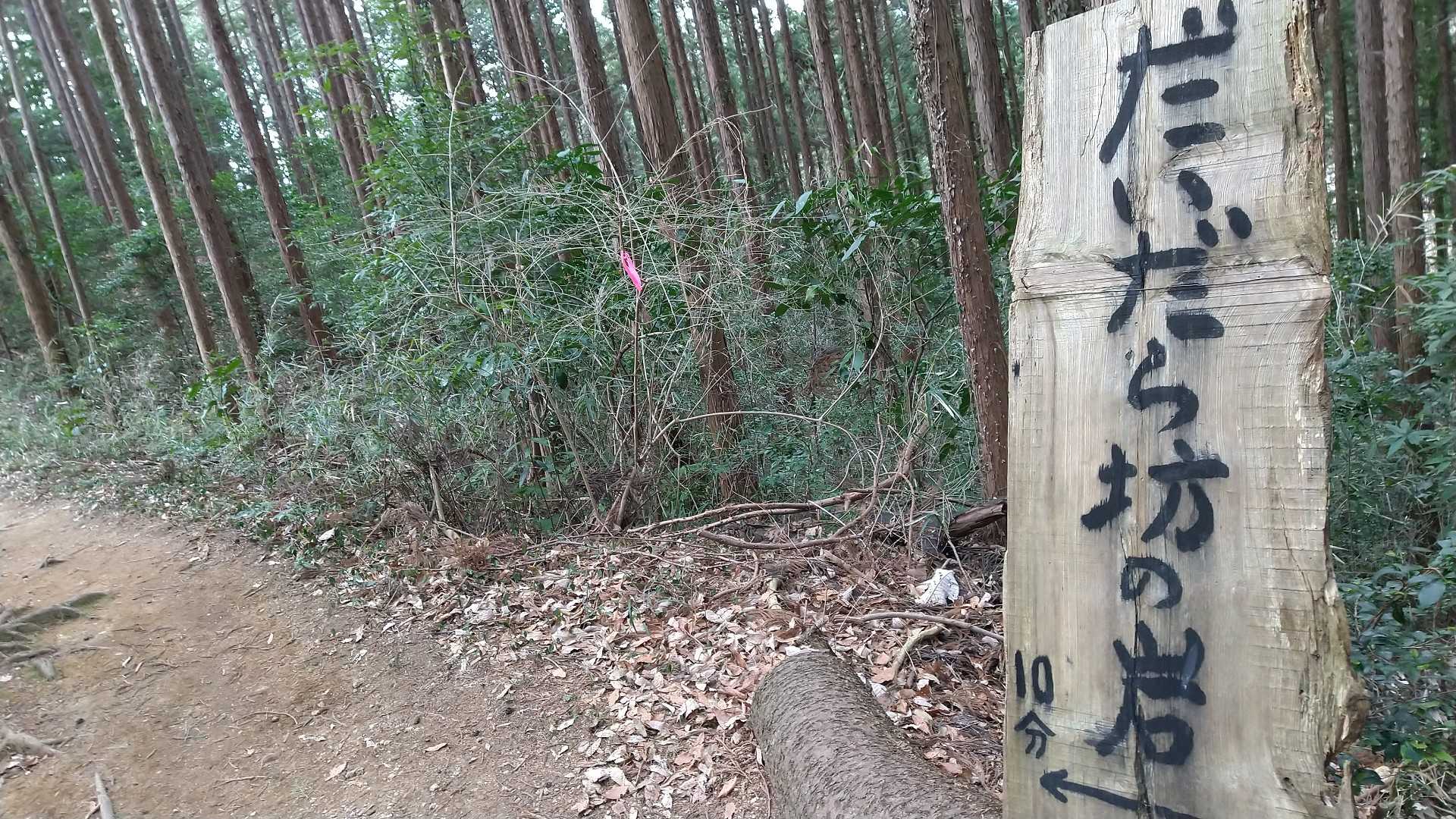 下りは、だいだら坊の岩方面に。