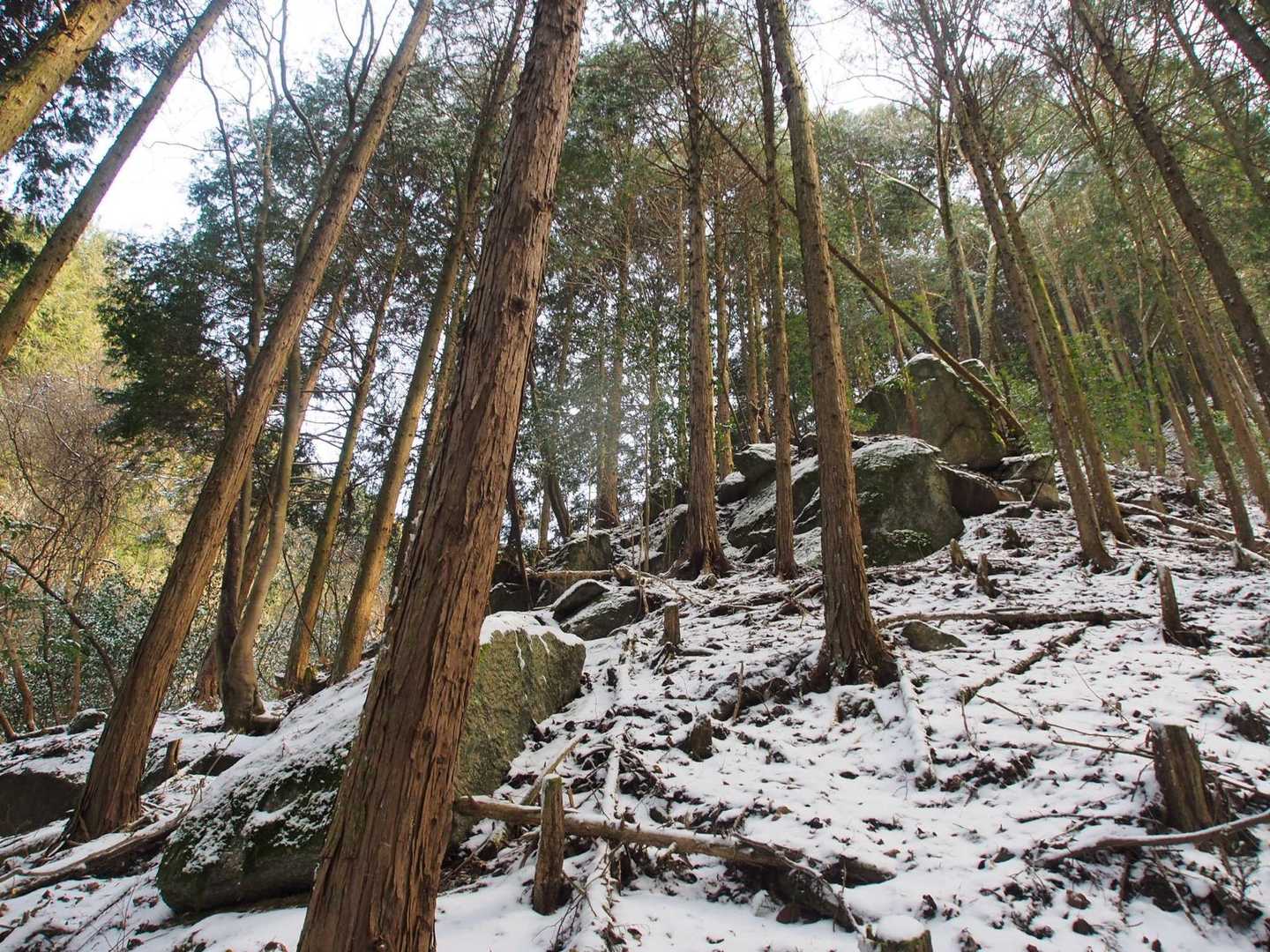しばらく谷沿いを何度か渡渉しながら降りていきます。大きな岩が次々と出てきて見応えあり