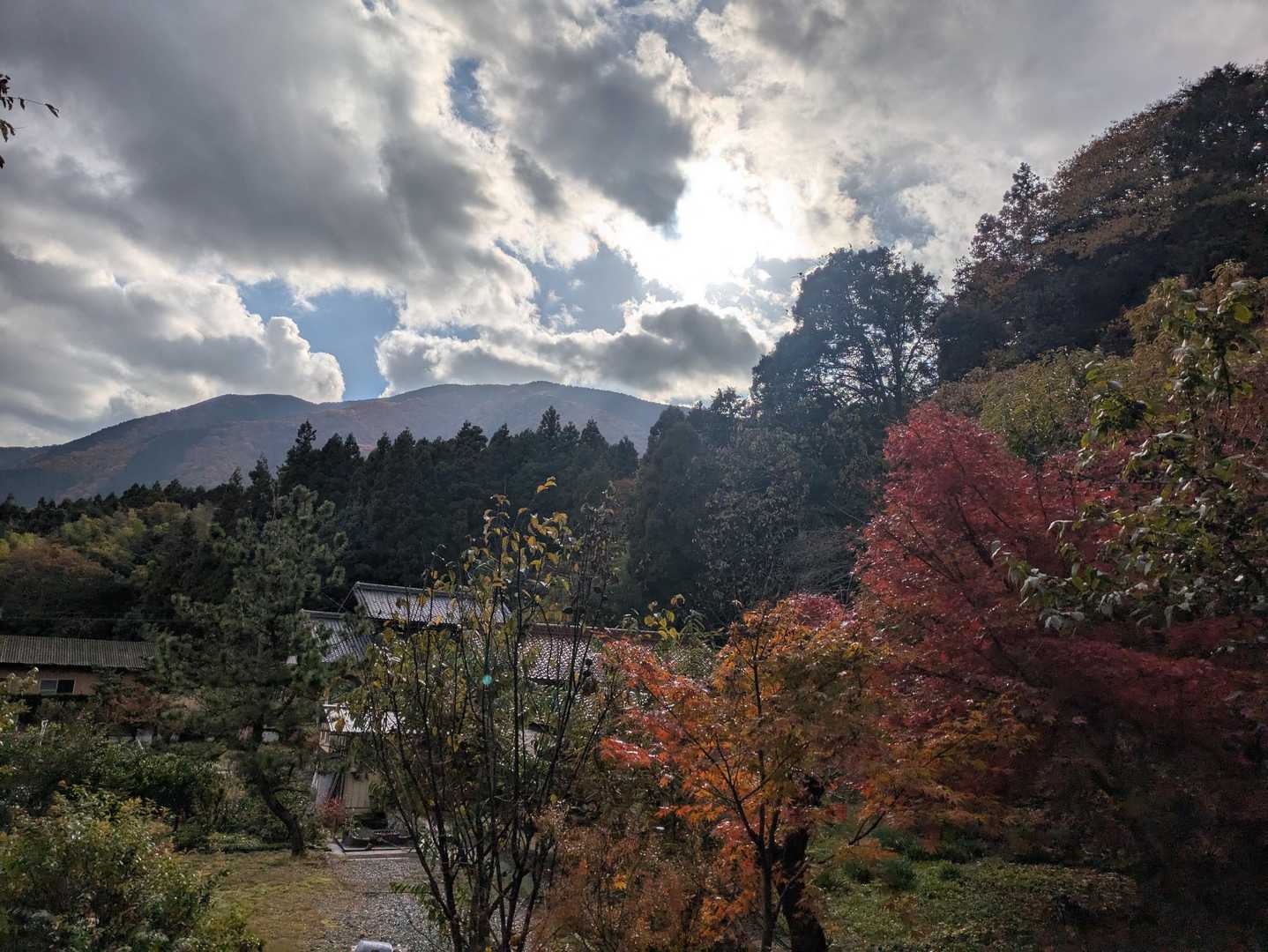 白樫城登り口石碑-白樫城址登山口-小島山 往復コースの写真