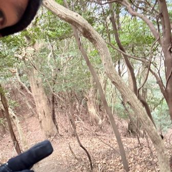 2.鶴が峠登頂⛰️

通り過ぎてました😅
標識あったかなぁ？
下りたくないので、この辺って事で🙏