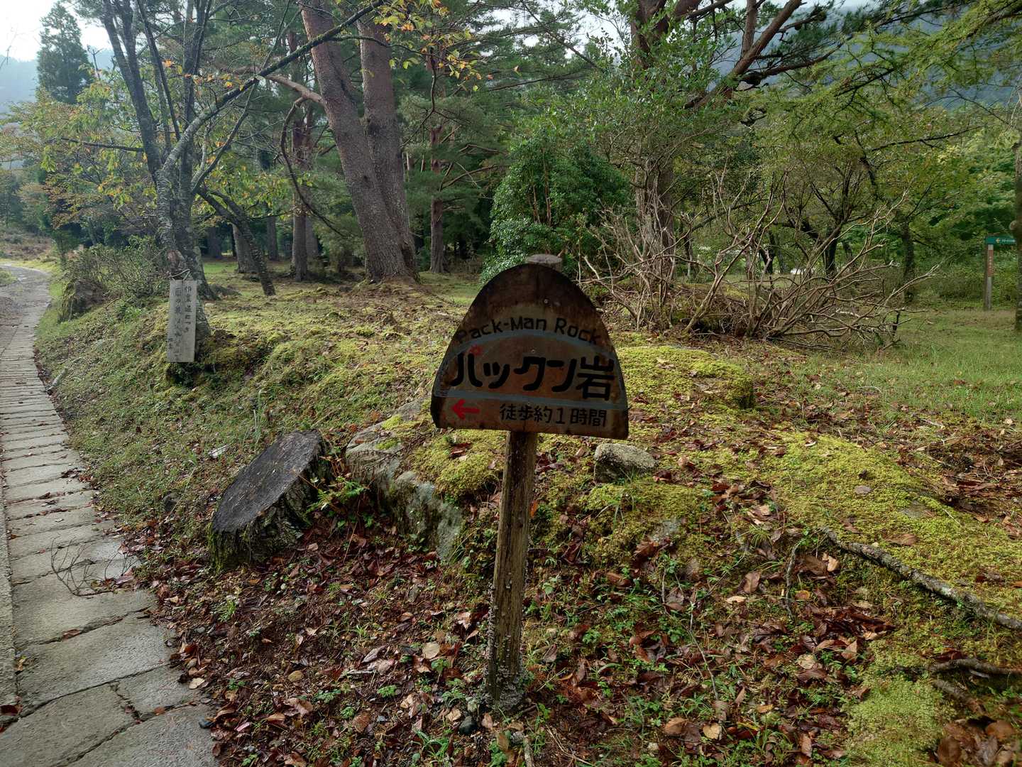 最初の、ミッション。