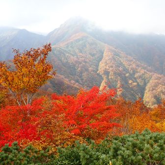 真っ赤🍁
後は小朝日岳
霞んできました