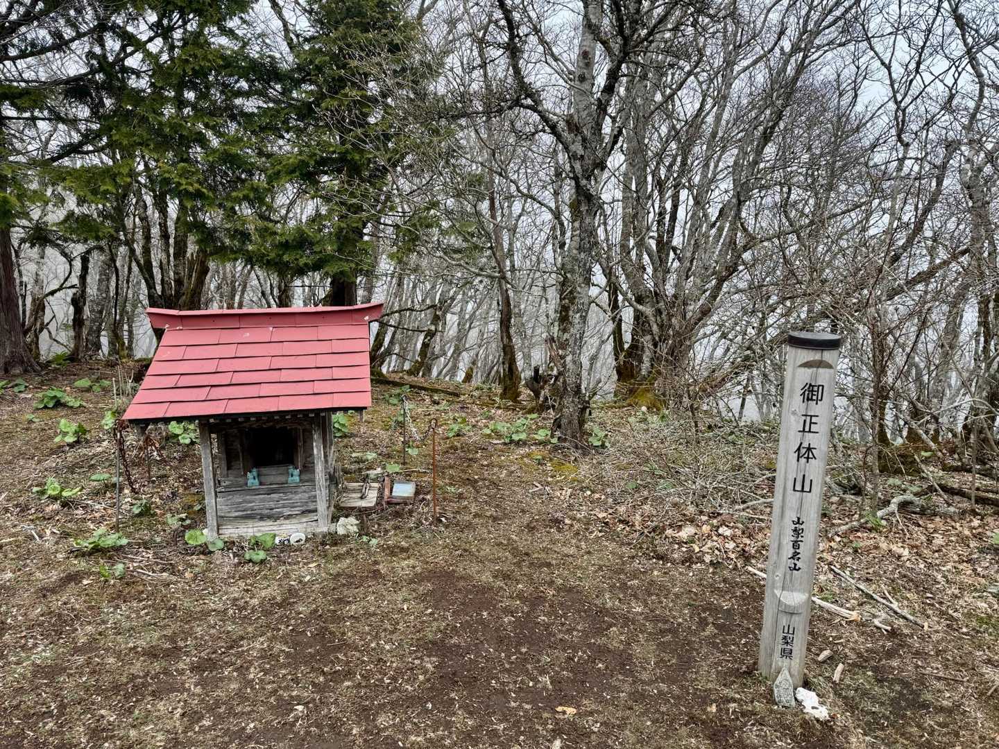 御正体山 往復コースの写真