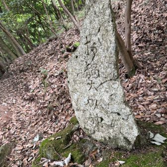 お鍋大明神？？千石岩下の石碑です