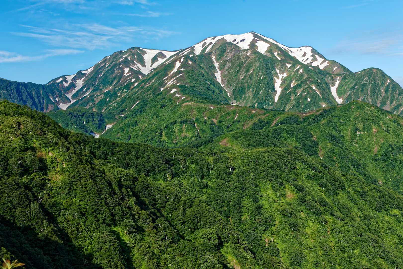 越後駒ヶ岳の写真