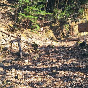 尾鈴山登山口から急登のスタートです😭
