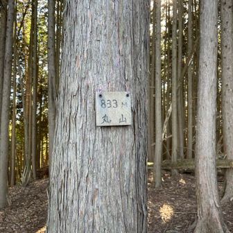 ちっこい山名版が続く、、、