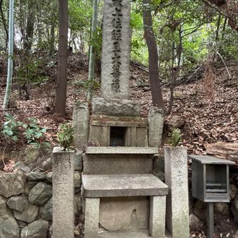 これで行き止まりと思ってしまう。
進み方わからず戻って、登山道をウロウロ探しました。

探しまくり、またここに来て、この右手を見ると行けそうな道を発見😳
なんで右手を見なかったんやろ💦