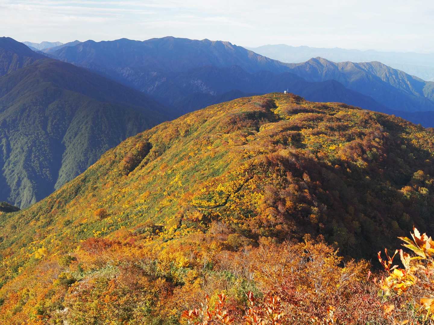 なんじゃコリャ！
周りの稜線は緑が多いのにこの辺りだけ異世界のような紅葉