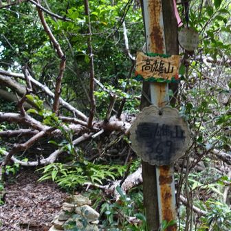 高雄山山頂。ここで景色が見たくてウロウロする。すると来た道を間違いかける。何度も山頂に戻り、記憶とＧＰＳのフル稼働。やばいですよ。