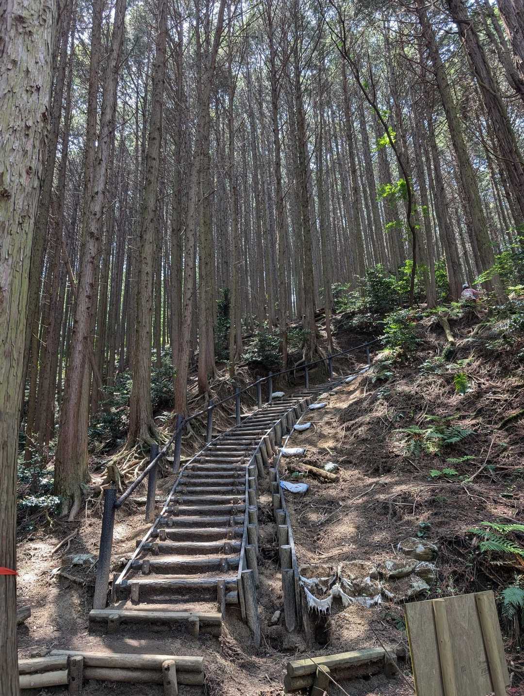 階段~