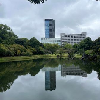 風が弱いためか綺麗に撮れました☺️