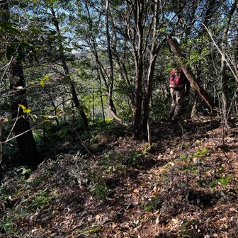 さっきの分岐に戻って、あとは三谷森林公園の方へ下りることにする