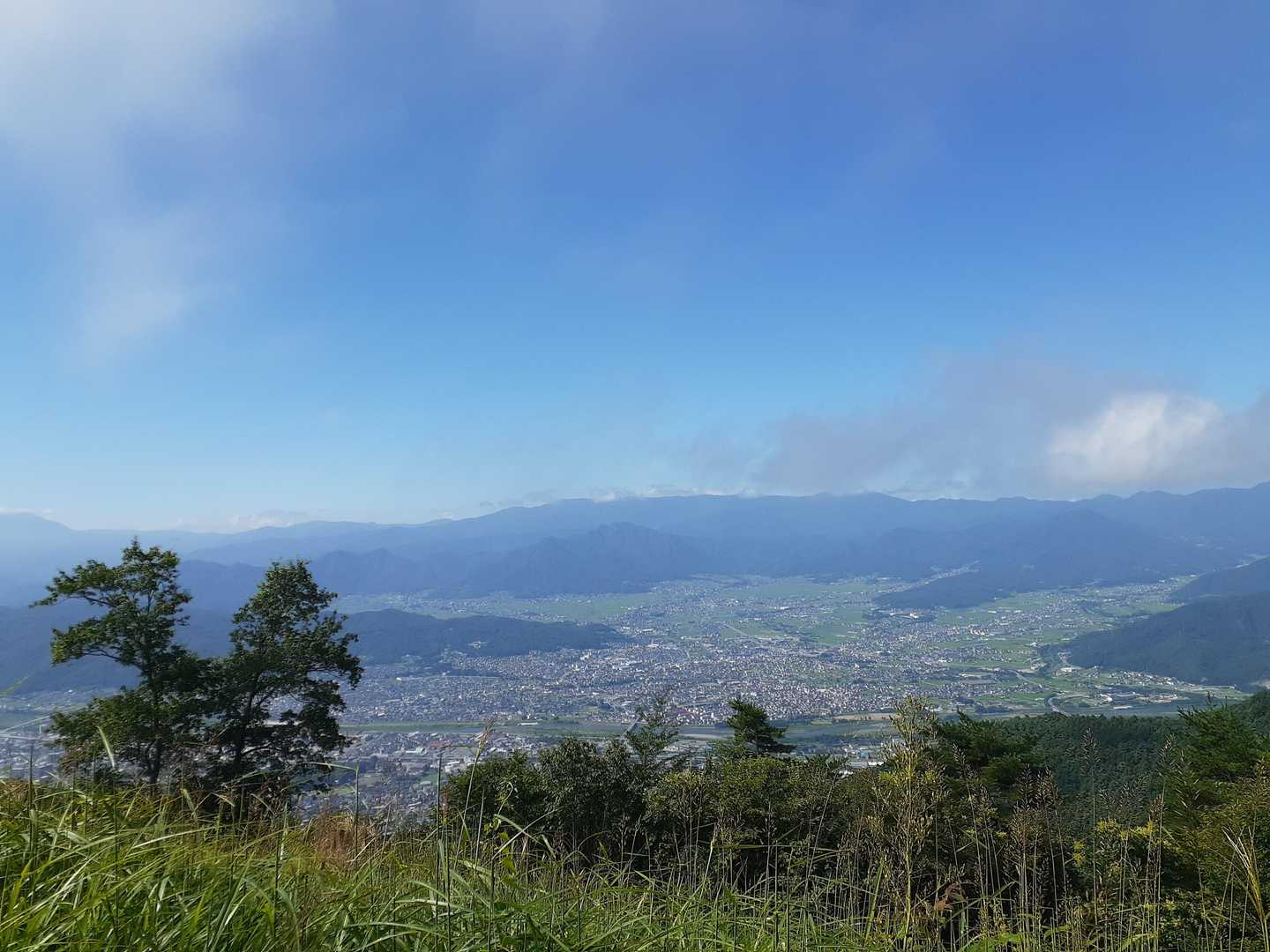 表参道登山口-太郎神社-太郎山-裏参道登山口 周回コースの写真