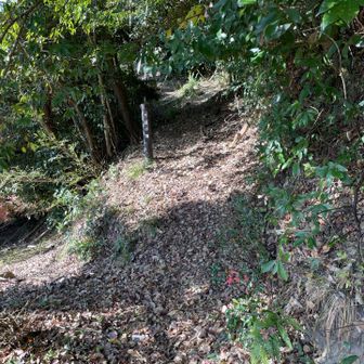 寺の裏かあら山道に入る。