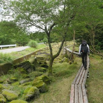 私の腹の不調が気のせいでないレベルに到達…
（富良野岳の悪夢再び😱）