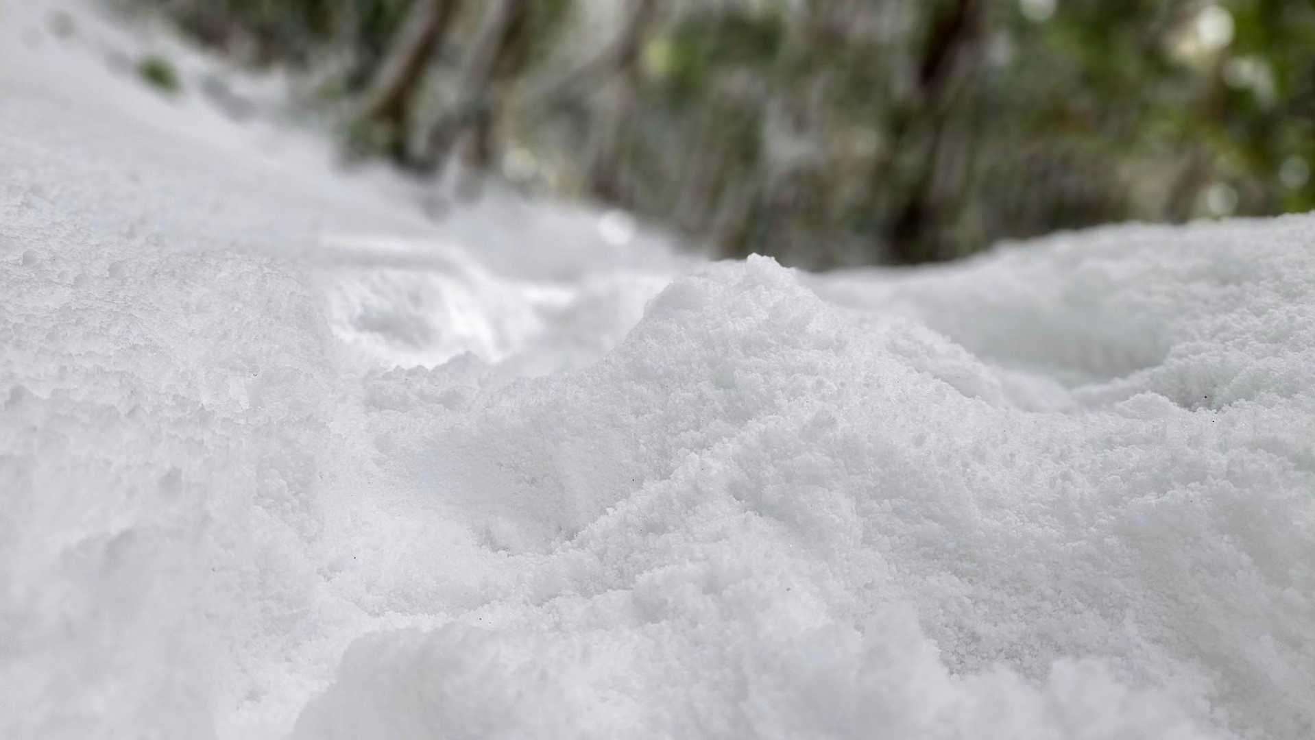 新雪でふわふわ〜😆
