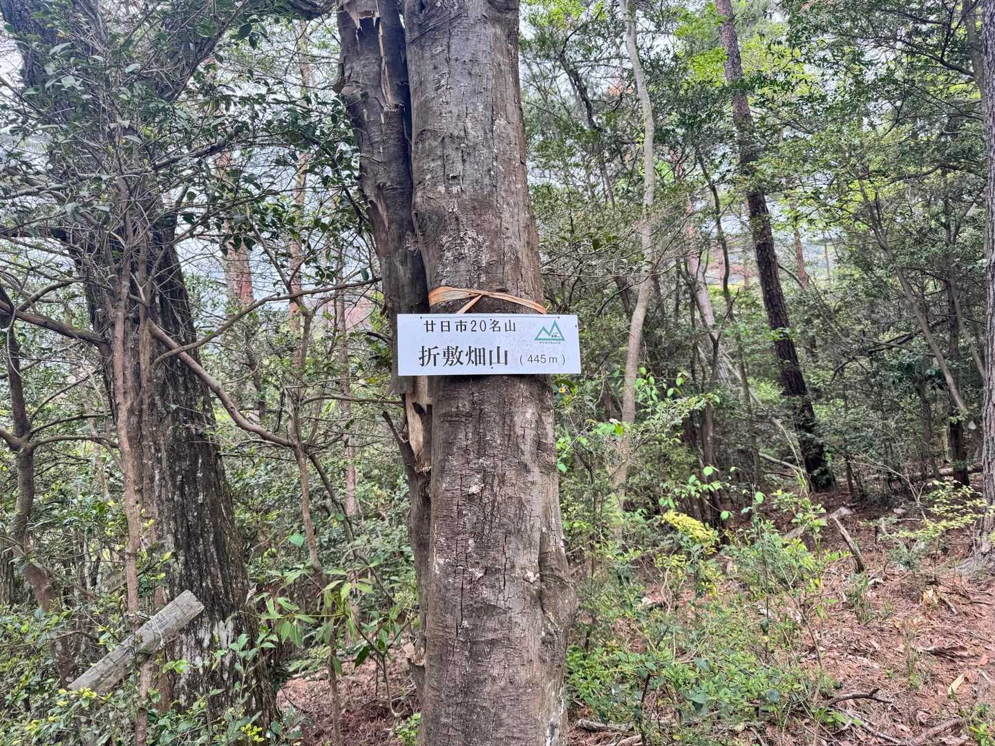 折敷畑山 往復コースの写真