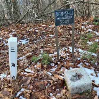 ひさしぶりの三角点にタッチ🫳
ここまではほとんど来ないので