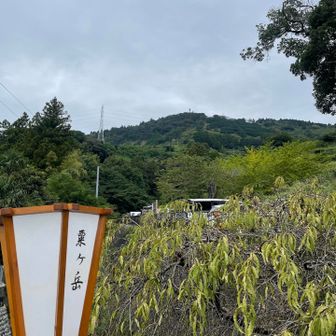 今日は地元のお祭りでした👀