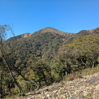 目指す竜ヶ岳。