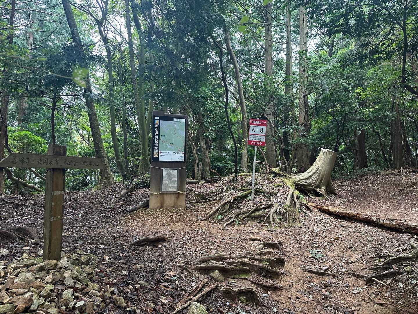 大沢山 往復コースの写真