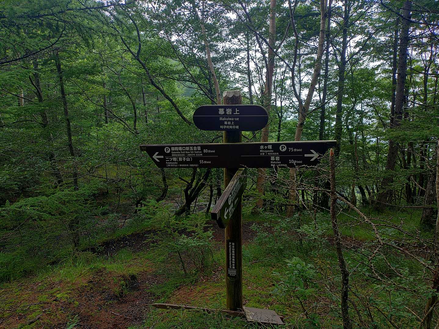 当初の予定を変更して、双子山へ