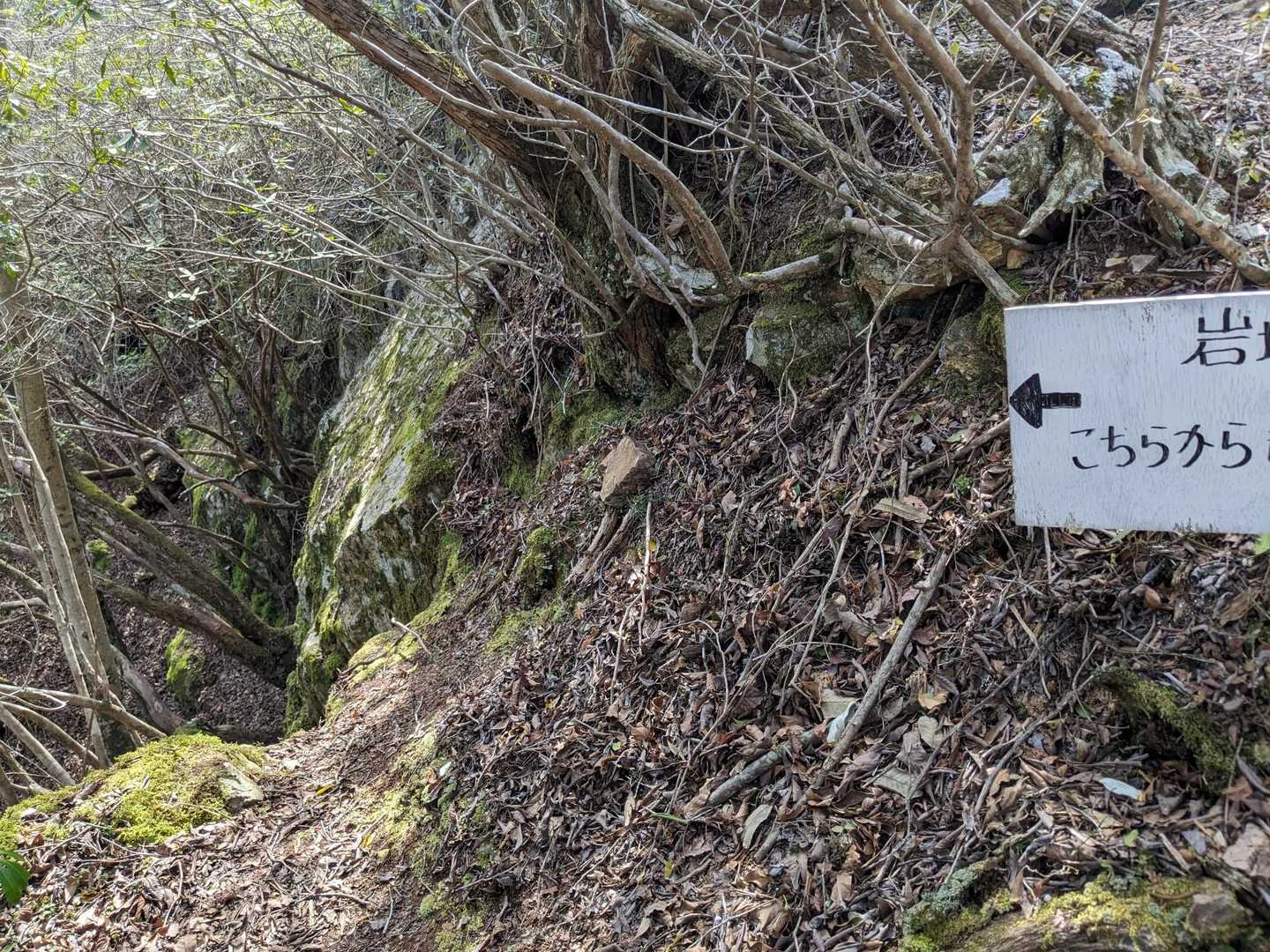 こちら巻道へ向かいますか？