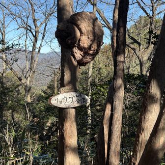 これはなんだ…？