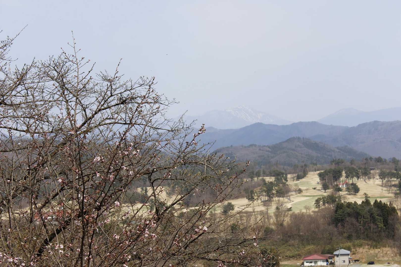 勿論急登一本道で( *´艸｀)

振り返ると咲き始めの桜と早池峰山がみえますね

時期があえばもっといいのでは？
