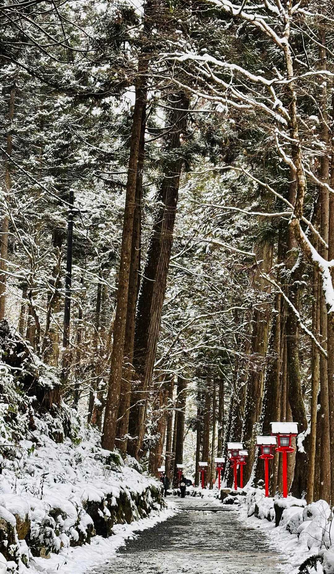 厳かな雰囲気