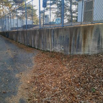 そしてやっぱり縦走路の摩耶別山△は踏んでおきたかった

んな時に娘から連絡入る
『はよ帰ってこい』とな

いやいや今日はトワイライトな掬星台堪能するの！
『そんなことどうでもいいから早く帰ってきて！』
焦らすなよ！
ピークの道標見つけられなかった😢⤵️⤵️

