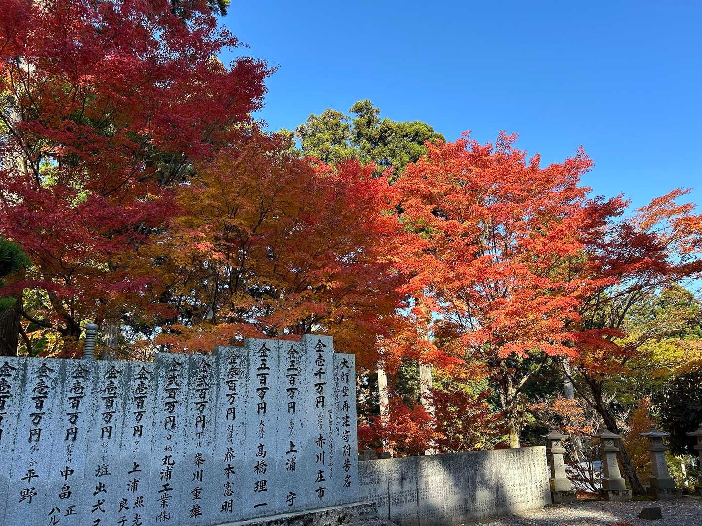 山嶺駅-雲辺寺山 往復コースの写真