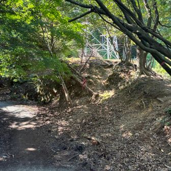 てんこ山とりつき