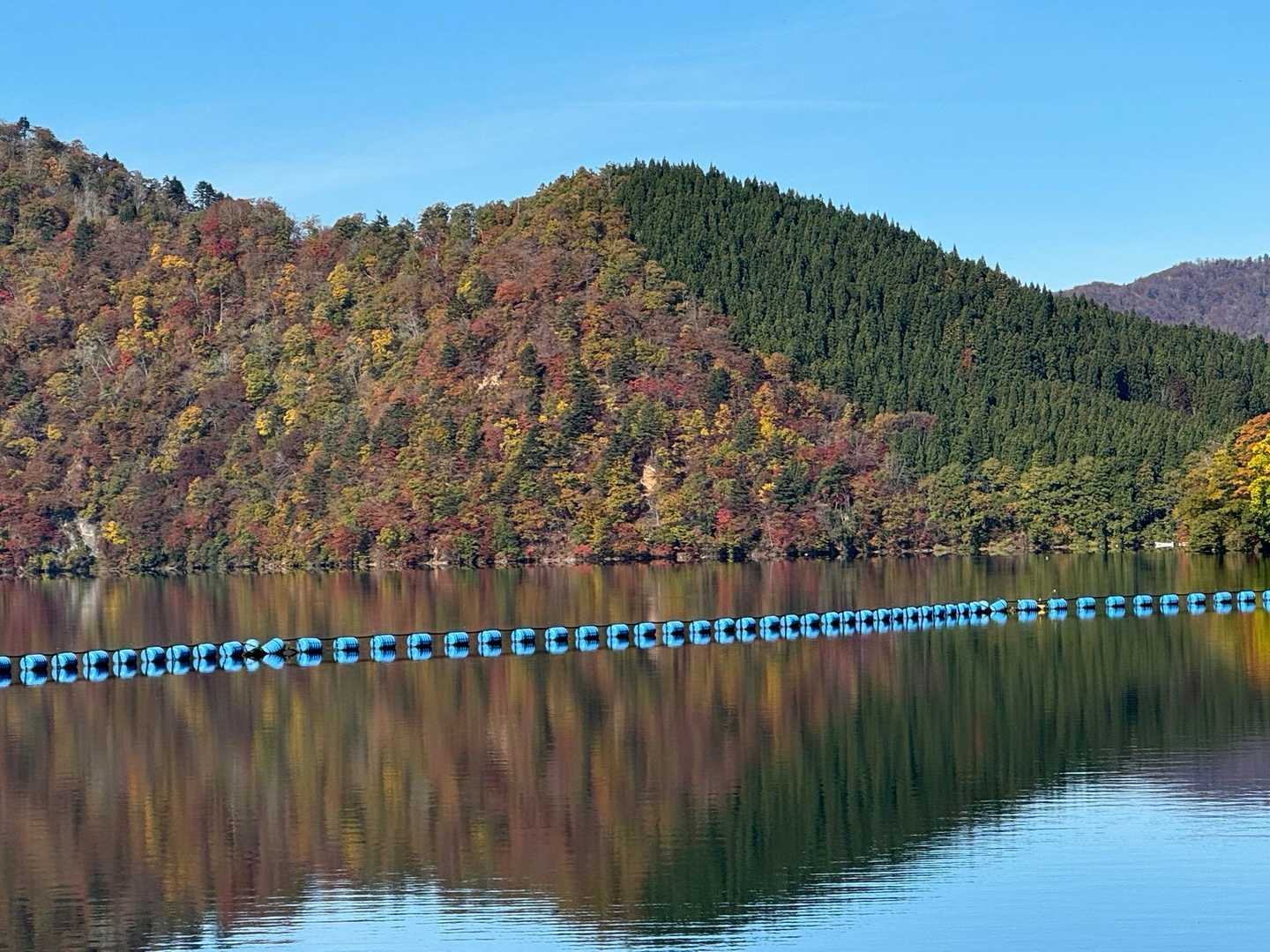 斜面の紅葉🍁
写真では伝わりませーん💦