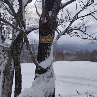 総勢１０人位の団体さんとお会いする。
深夜から雪が積もりましたが途中から広いトレースが♪
ありがとうございます🙏
ベテランさん達の集団でしょうか。

今度は反対側からも登ってソリ滑りしたいな〜♪