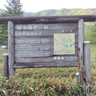 ちょっと迷ってスタート地点。
登山口駐車場の下とは🤭