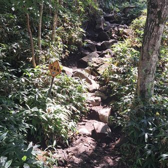 登山口の取付き