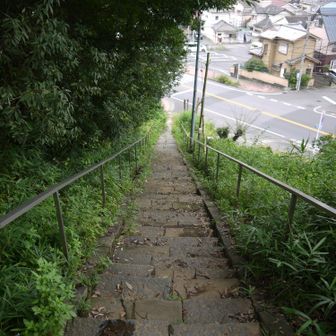 最後に階段を下りて下山。