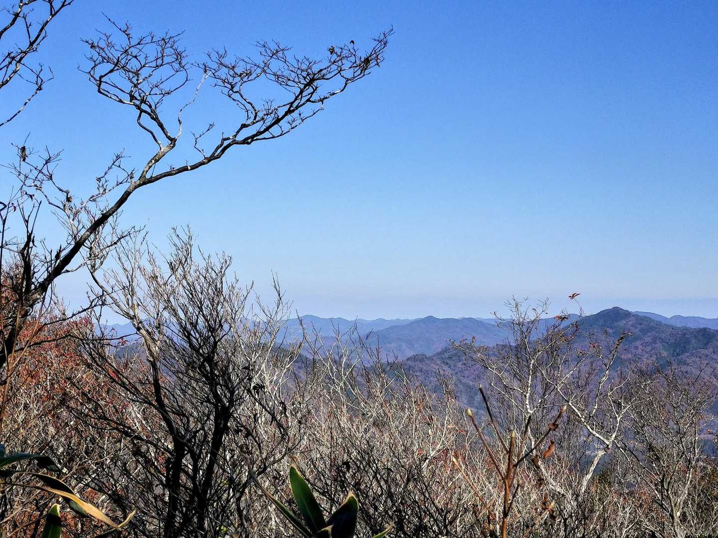 薄っすらと日本海が見えました🙂