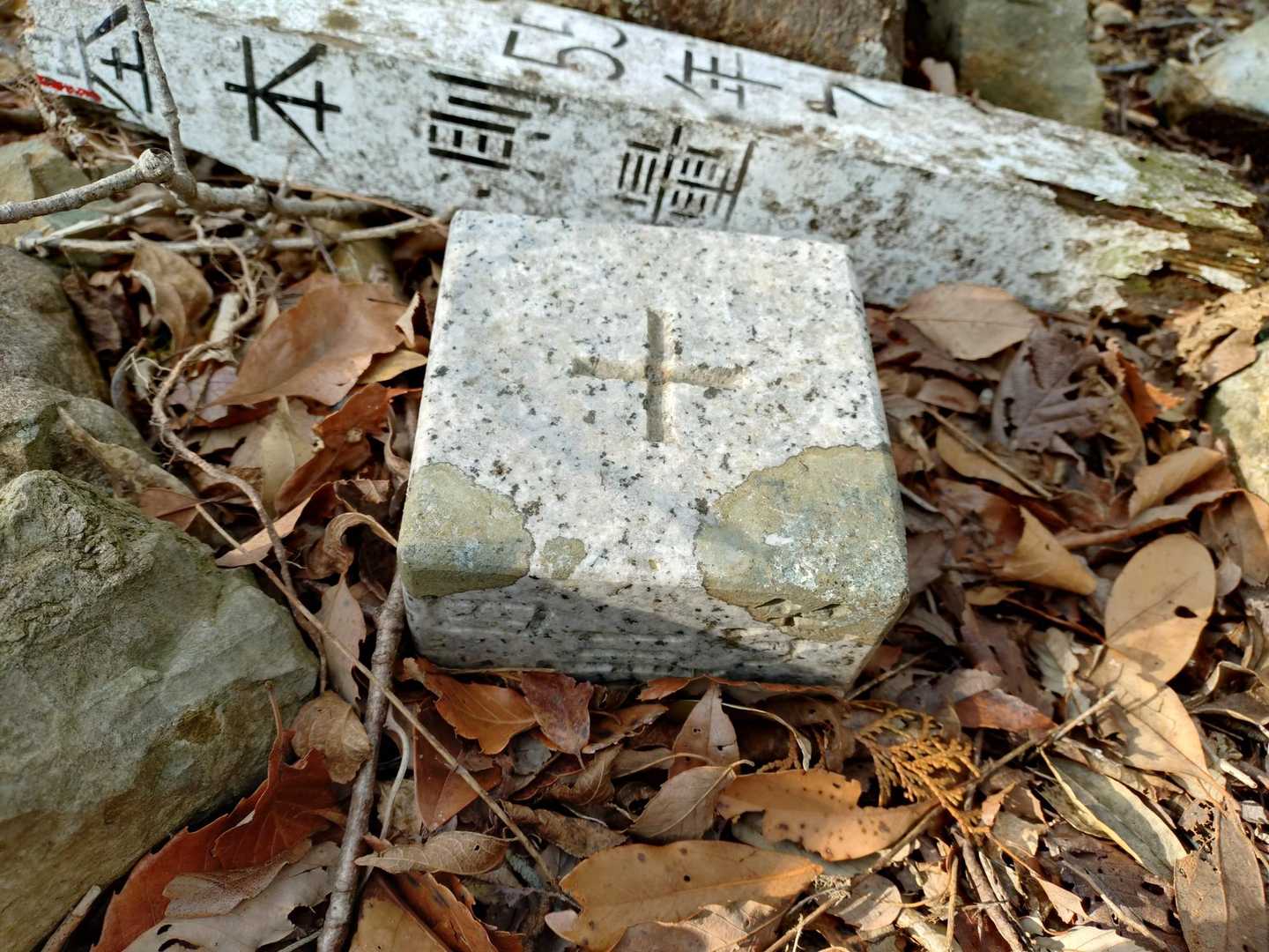 山頂から少し離れた場所に
四等三角点頂　きました!