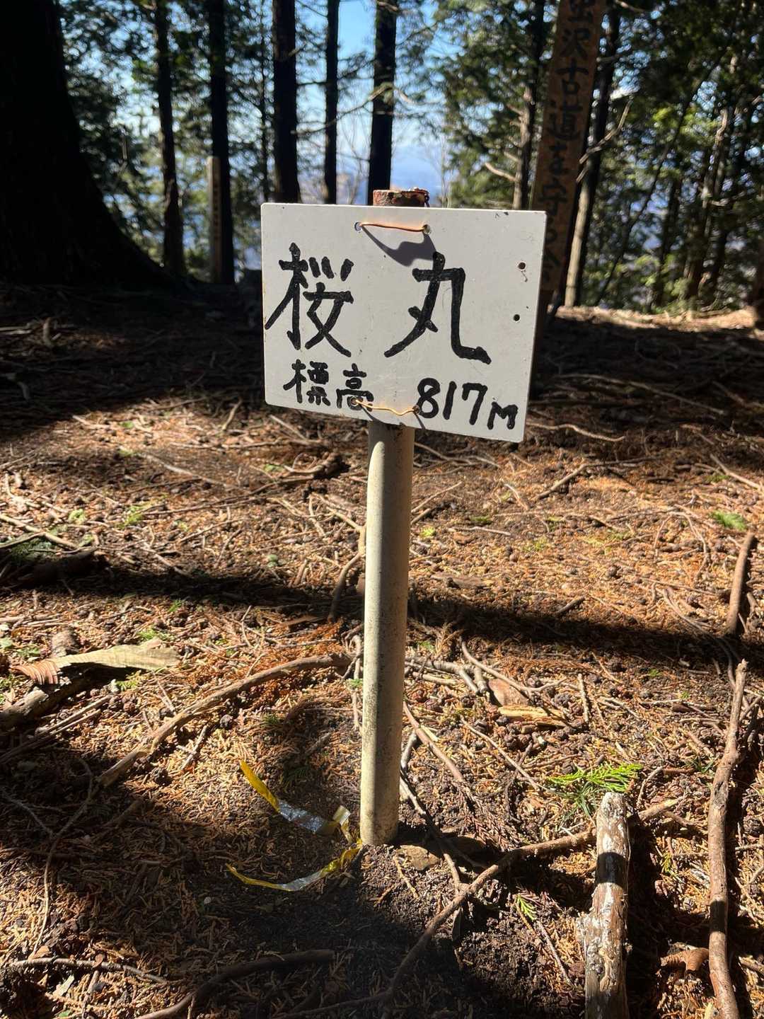 寄バス停-シダンゴ山登山口-シダンゴ山-ダルマ沢ノ頭-桜丸 周回コースの写真