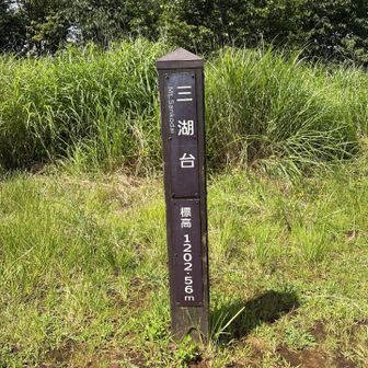 標高を刻んだ山名標識。