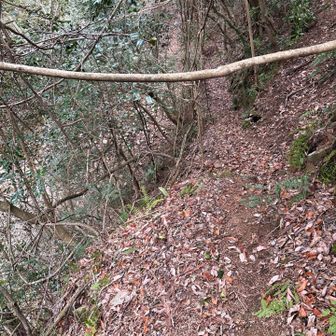 六甲山・長峰山・摩耶山 この堰堤からの下りトラバース
道狭くて大変怖い