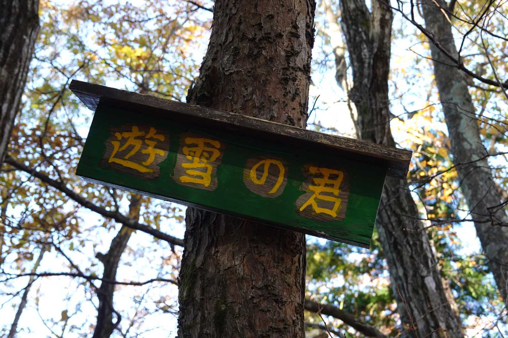 塩沢山 往復コースの写真