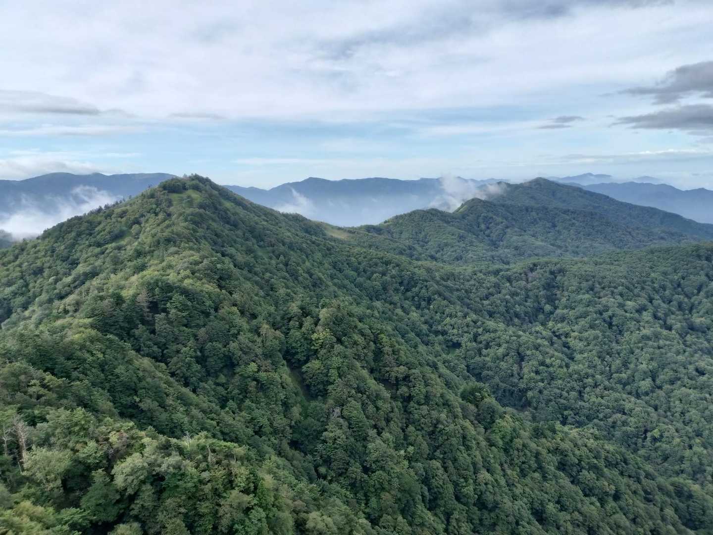 前烏帽子〜寒峰の稜線。
めっちゃ緑。